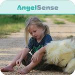 ¿Cuál es la diferencia entre AngelSense y el programa Proyecto Salvavidas?