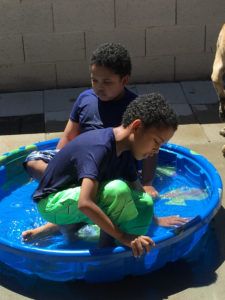 Boys in pool