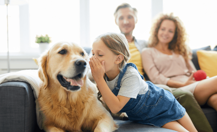 Golden Retriever Dog Breed for Autism | AngelSense