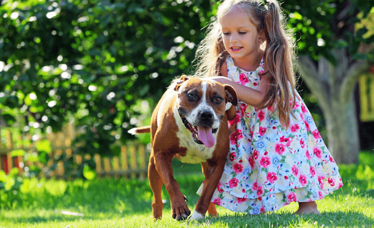 Family Dogs for Kids with ASD | AngelSense