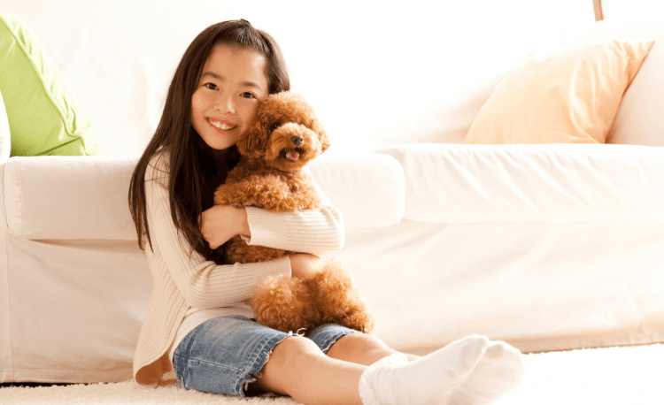 What Dogs are Good for Kids with ASD? | AngelSense