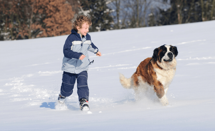 Best dog breeds for kids best sale with autism