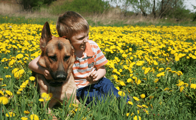 how to train a dog for autistic child