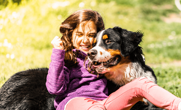 Big Dog Breeds Best for Autism | AngelSense