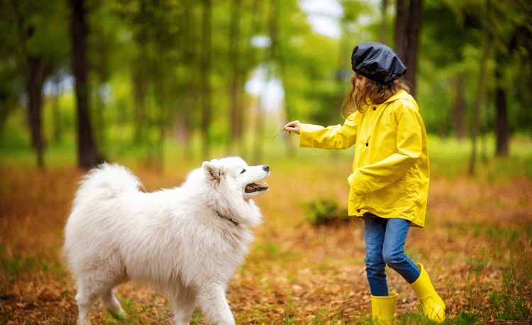 The Best Dogs for Autistic Children | AngelSense
