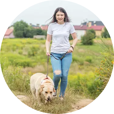 Go for a Walk by </br> Themselves